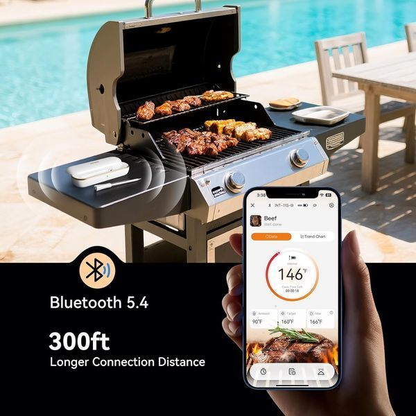 BBQ термометр Inkbird INT-11S-B цифровой с Bluetooth беспроводной на 1 щуп INT-11S-B фото