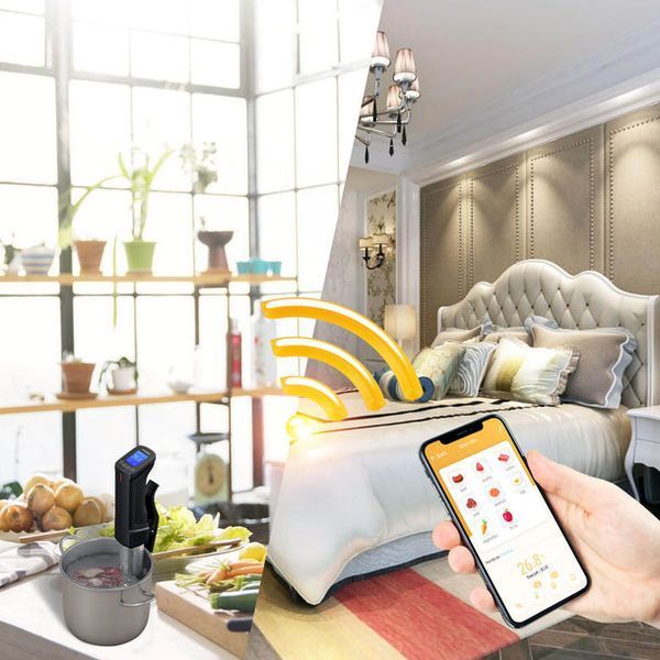 Су-від Inkbird ISV-100W із Wi-Fi занурювальний термостат-циркулятор ISV-100W фото