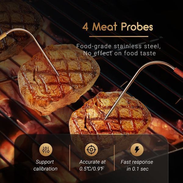 BBQ термометр INKBIRD BBQ Thermometer WiFi & Bluetooth на 4 щупа IBT-26S фото