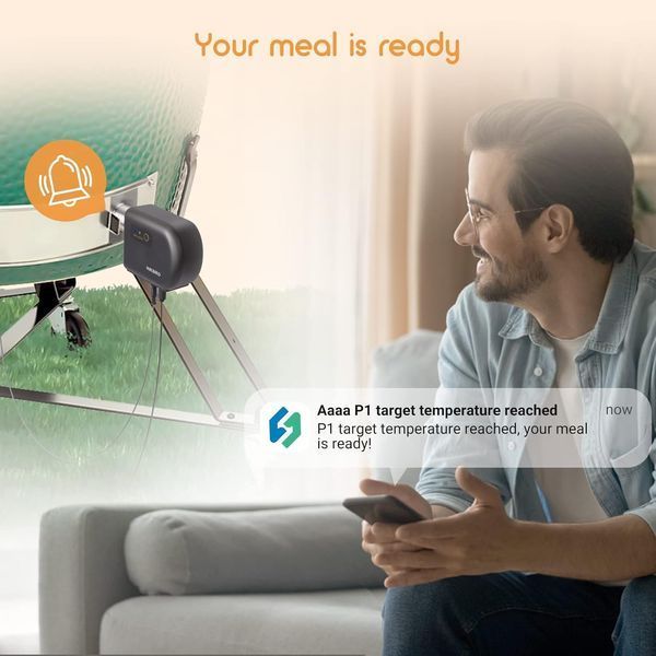 BBQ термометр, контроллер температуры для гриля INKBIRD ISC-027BW, Wi-Fi, Bluetooth, 4 щупа, автоматическое управление вентилятором ISC-027BW фото