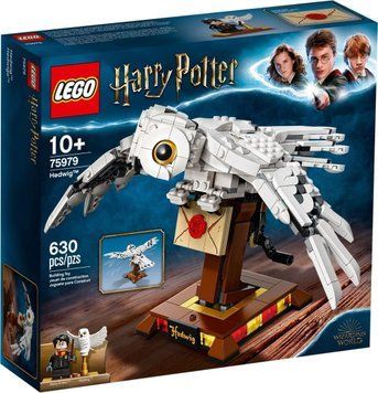 Конструктор LEGO Harry Potter Букля (75979) 75979 фото