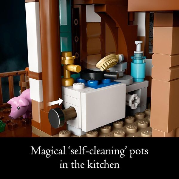 Конструктор LEGO Harry Potter Барлог &ndash; Коллекционный набор (76437) 76437 фото